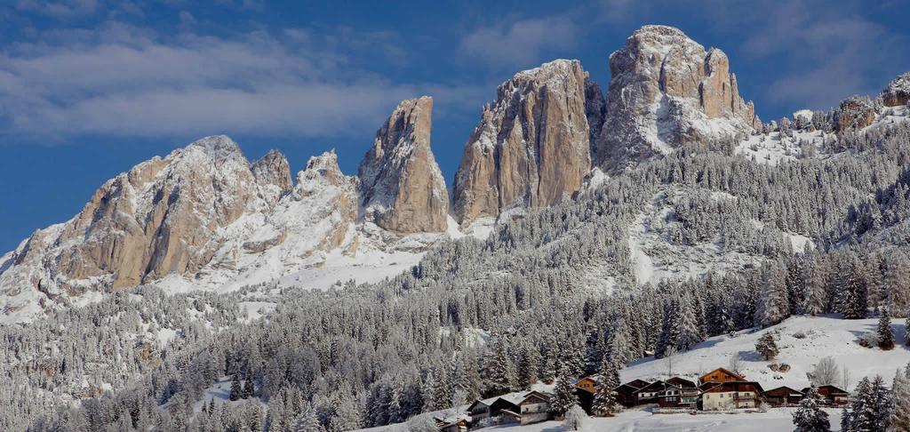 Appartamenti Ladina Campitello di Fassa Exterior photo